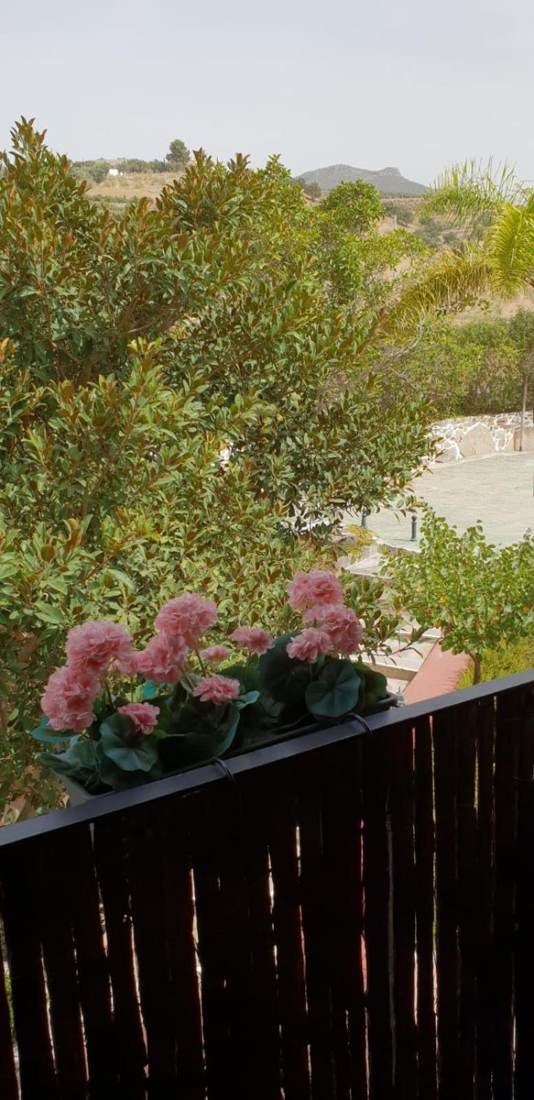 Hotel Cortijo De Salia Alcaucín 部屋 写真