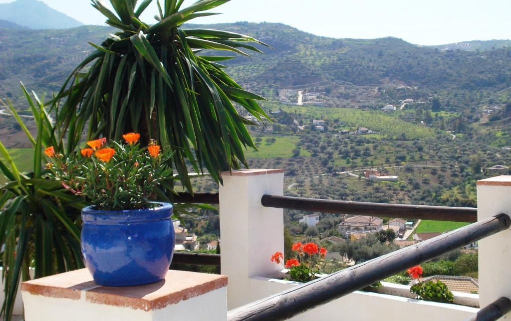 Hotel Cortijo De Salia Alcaucín エクステリア 写真